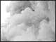 Air PollutionParticulate Matter, Ozone, and Nitrogen Dioxide