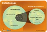 Biotechnology and modern biotechnology defined