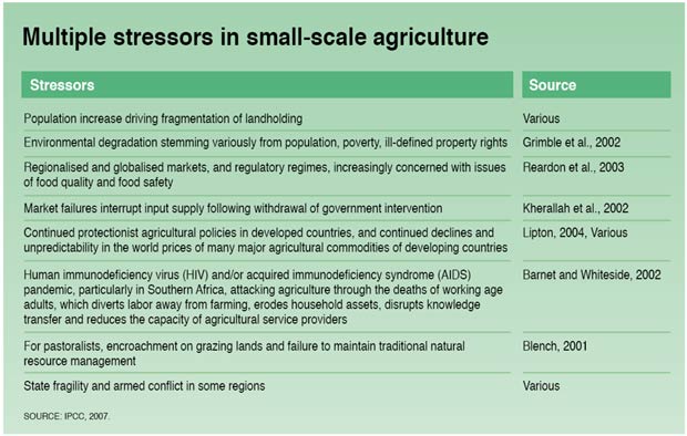 Multiple stressors in small-scale agriculture
