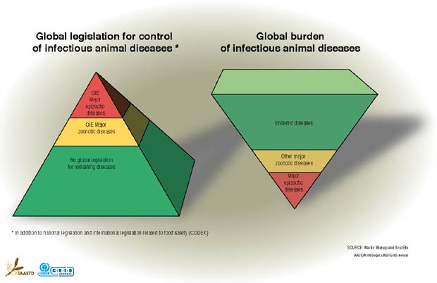 Infectious animal diseases: legislation & burden