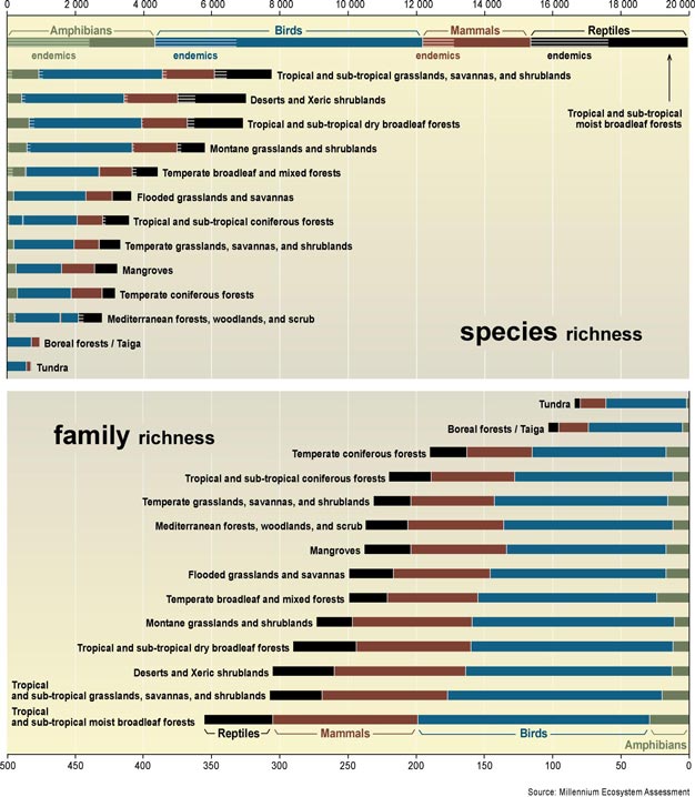 Species richness in different biomes