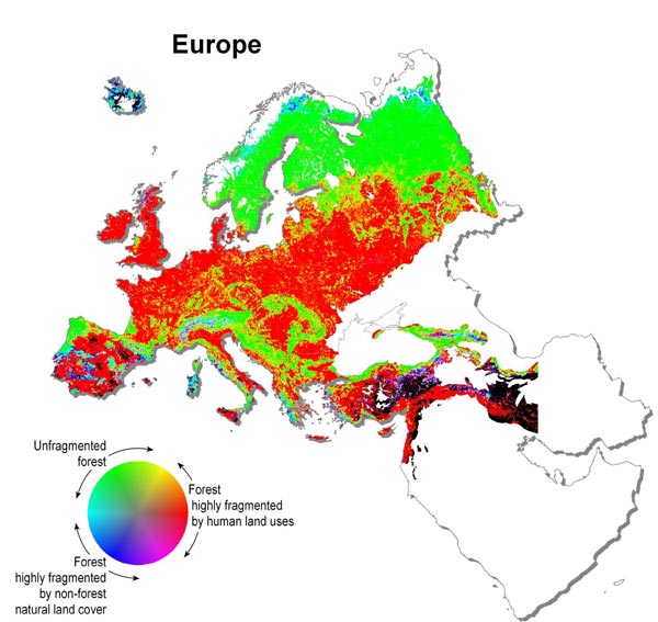 Map of Forest Fragmentation in Europe