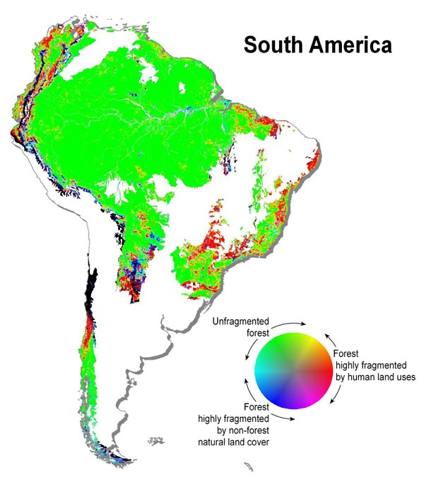 Map of Forest Fragmentation in South America