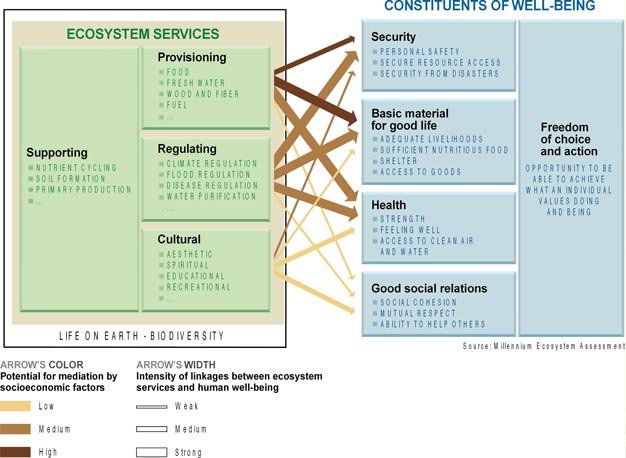 Ecosystem services - Constituents of well-being