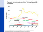Trends in Cancer Incidence Rates Among Males, US, 1975-2012