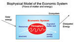 Biophysical Model of the Economic System
