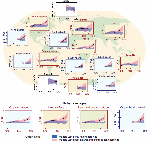 Detection and attribution signals in the climate
                                            system, at regional scales and global scales