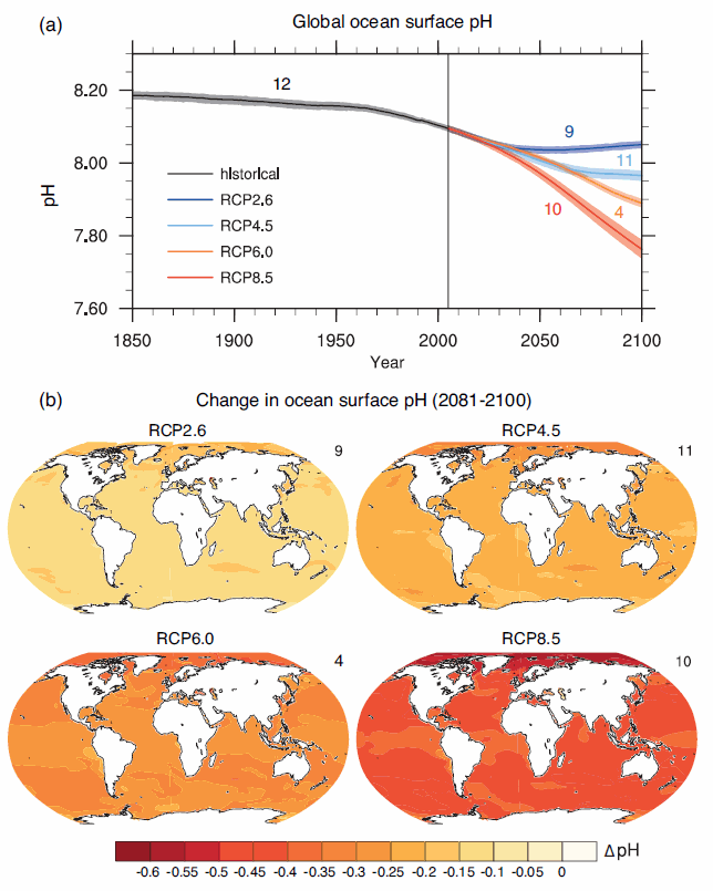 Time series  and maps of multi-model surface ocean pH