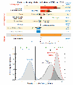 Radiative Forcing (RF) and Effective Radiative Forcing
                                            (ERF) of climate change during the industrial era