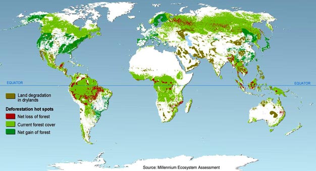  Land cover change