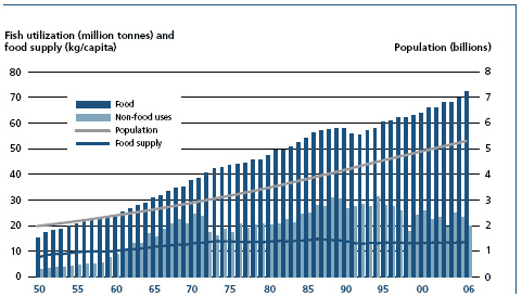 World fish utilization and supply, excluding China