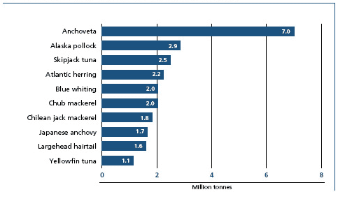 Marine capture fisheries production: top ten species in 2006