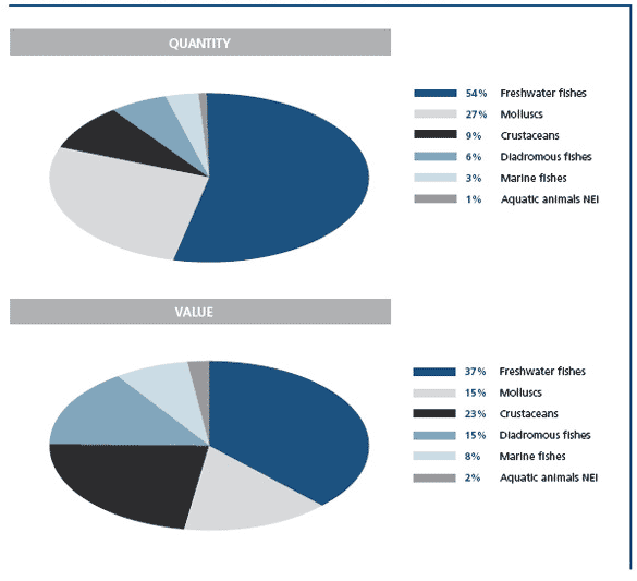 World aquaculture production: major species groups in 2006