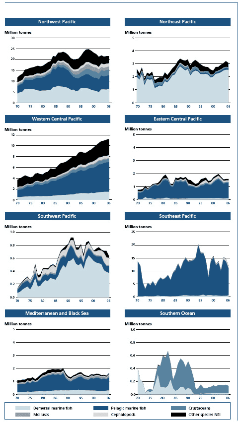 Capture fisheries production in marine areas