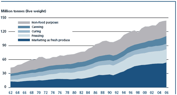 Utilization of world fisheries production (breakdown by quantity), 1962-2006