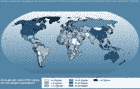 Fish utilization in developed and developing countries