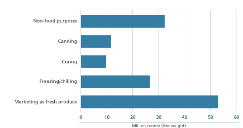 Figure 22