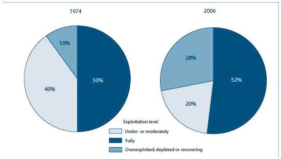 State of the world marine fish stocks