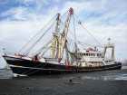 Long-Term productivity of fisheries needs to be ensured