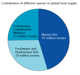 Species Food Supply Species Food Supply