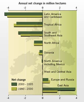 Annual net change in forest area by region(1990–2005)
