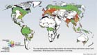 Estimates of forest fragmentation due to anthropogenic causes