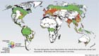 Estimates of forest fragmentation due to anthropogenic
                                            causes