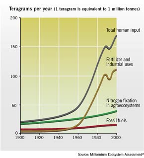 Global trends in the creation of reactive nitrogen on Earth by human activity