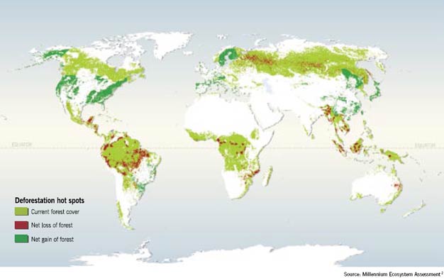 Locations reported by various studies as undergoing high rates of change in forest cover in the past few decades