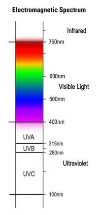 Electromagnetic spectrum