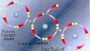 Formation of a free radical of oxygen