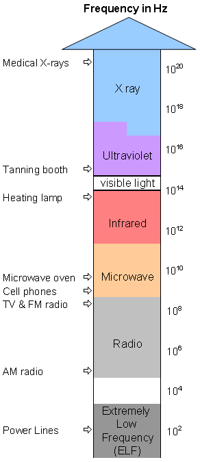 Frequency ranges in Hz