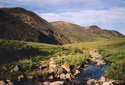 Tundra landscape in North America
