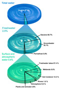 Global distribution of the world’s water