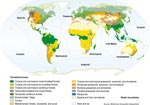 Mapa de los diferentes biomas