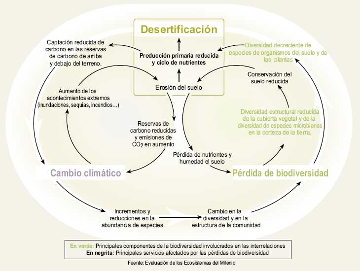 Schematic Description of Development Pathways in Drylands