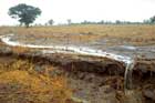 La erosión y la escasa retención del suelo afectan a los servicios de los ecosistemas en Burkina Faso