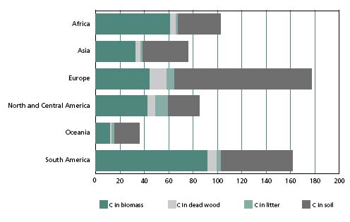 Total de existencias de carbono en los bosques por regiones, 2005