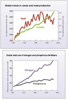 Production mondiale de céréales et de viande et utilisation d’engrais (1960-2000)