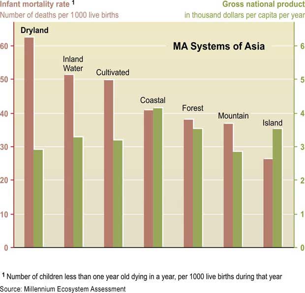 Comparison of Infant Mortality and GNP per Person in Drylands and Other MA Systems in Asia