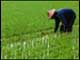 Page d'accueil du dossier sur la d�gradation des �cosyst�mes