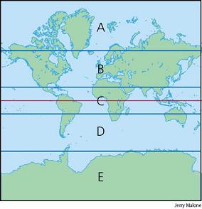 North temperate zone (B) & South temperate zone (D)