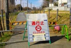 Fukushima Consequences