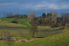 Forêts & agriculture