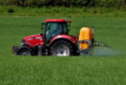 Pesticides chlorpyrifos