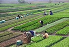 Cambio climático inicio