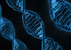 Biología sintética inicio
