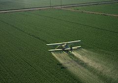 Endocrine disrupting properties of pesticides home