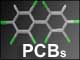 PCB Page d'accueil