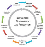 Nachhaltiger Konsum und Produktion 
